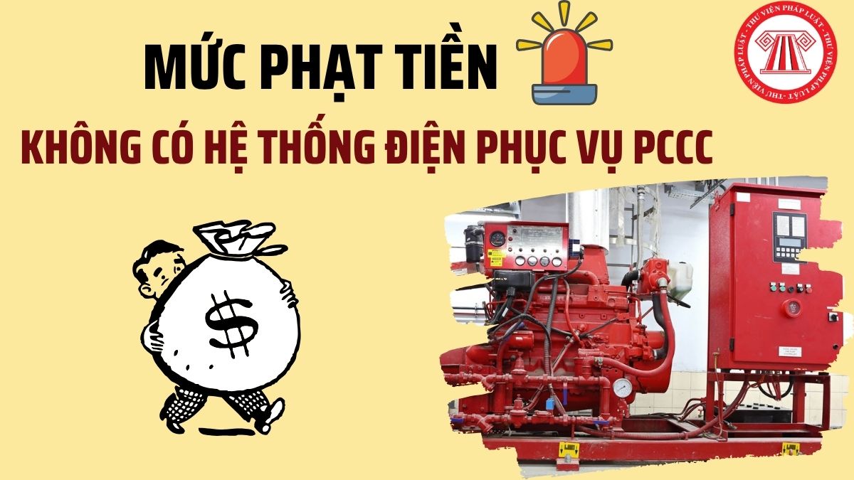 Pháp luật