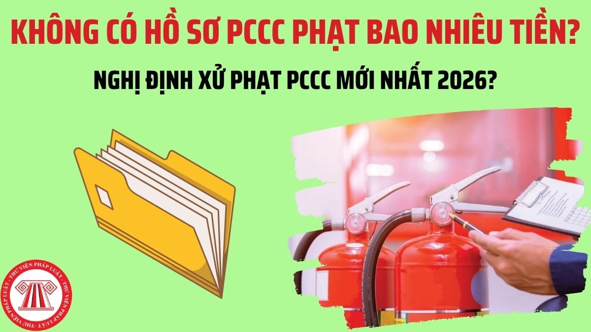 Pháp luật