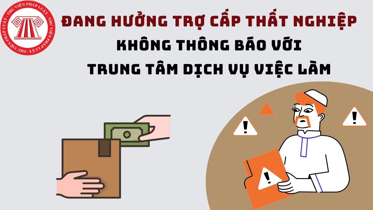 Pháp luật