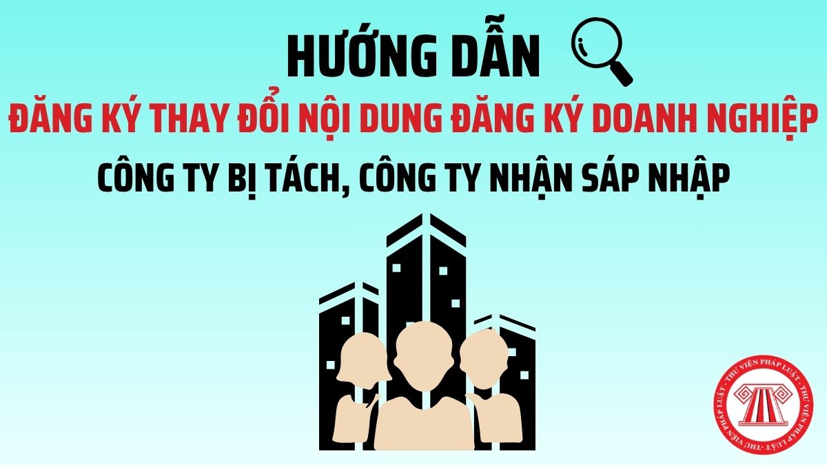 Pháp luật