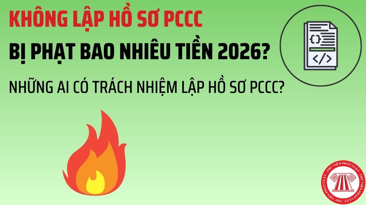 Pháp luật