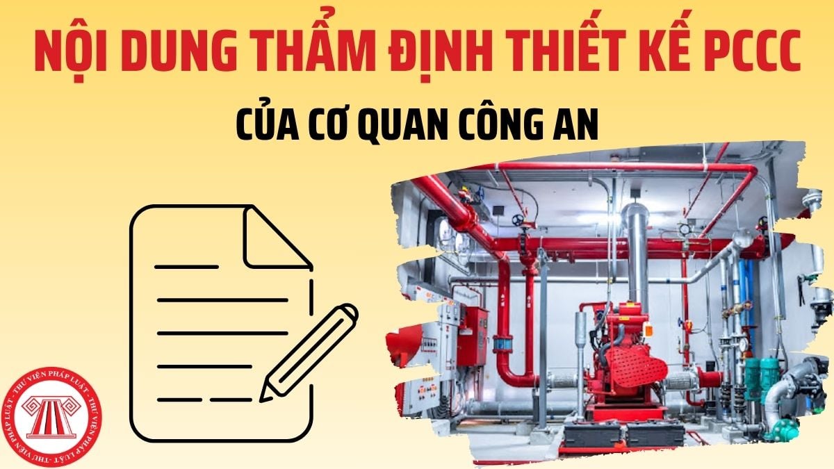 Pháp luật