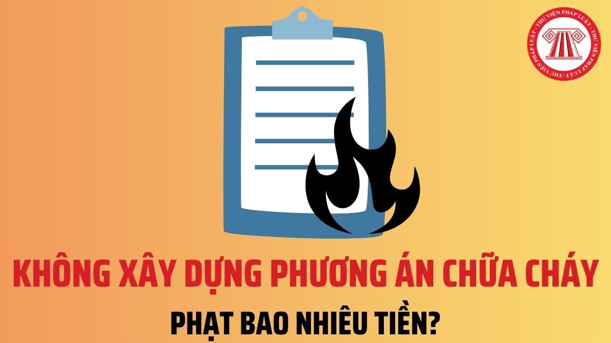 Pháp luật