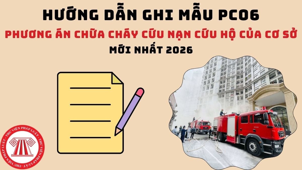 Pháp luật
