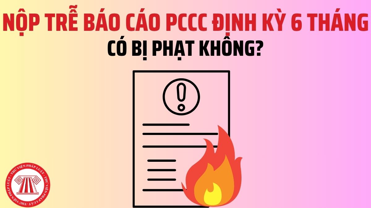 Pháp luật