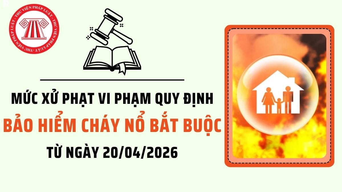 Pháp luật