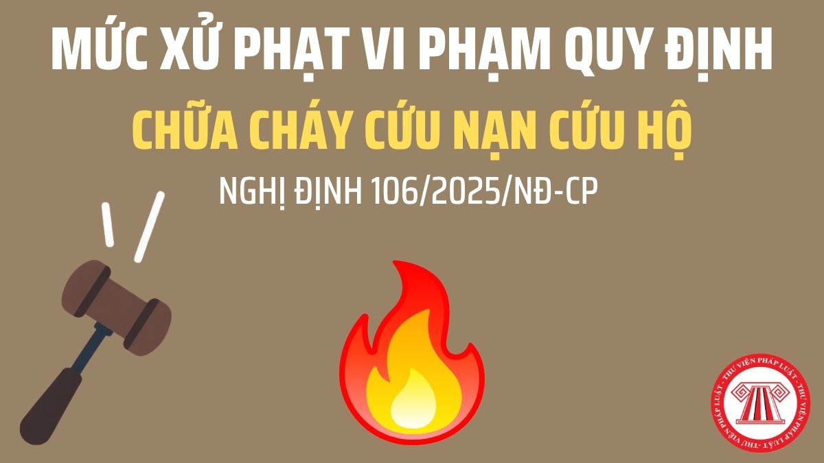 Pháp luật