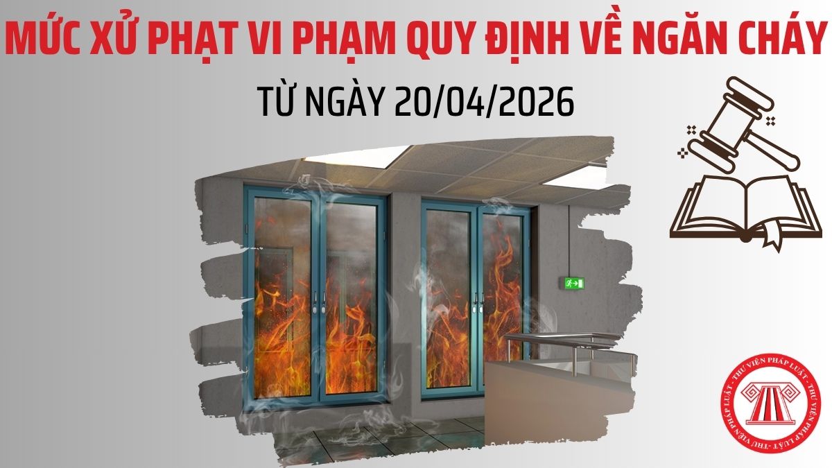 Pháp luật