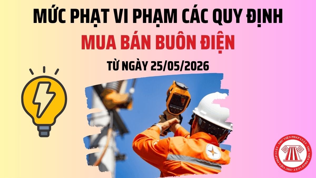 Pháp luật