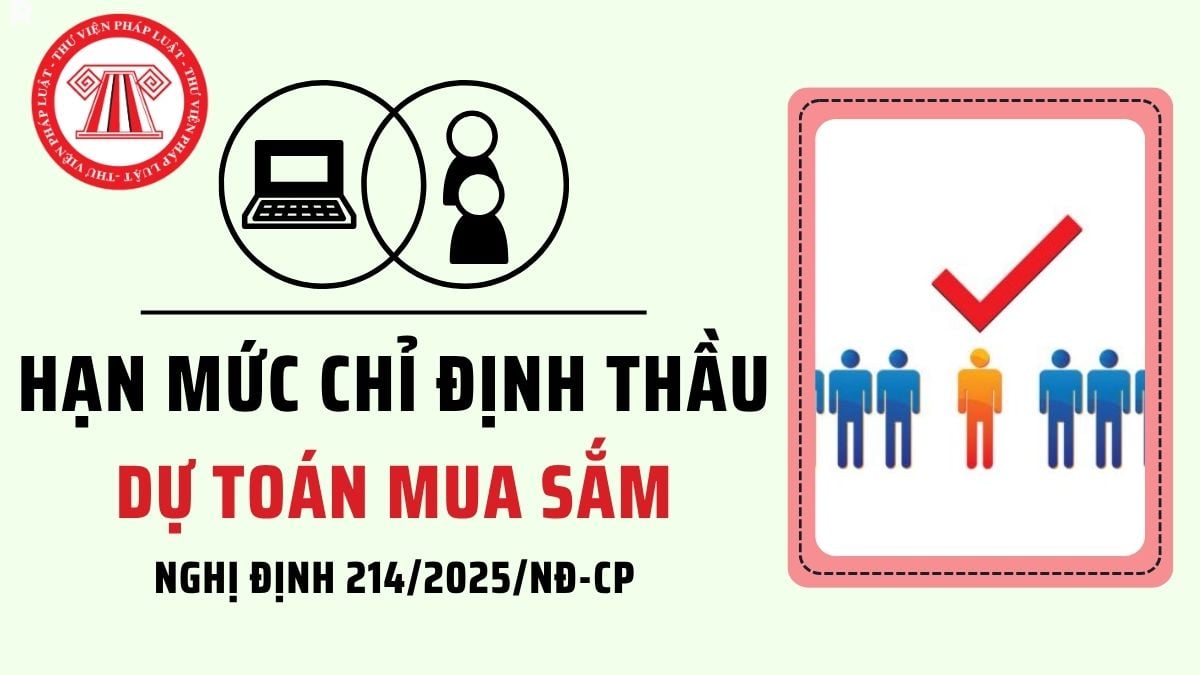 Pháp luật