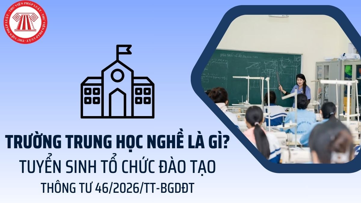 Pháp luật