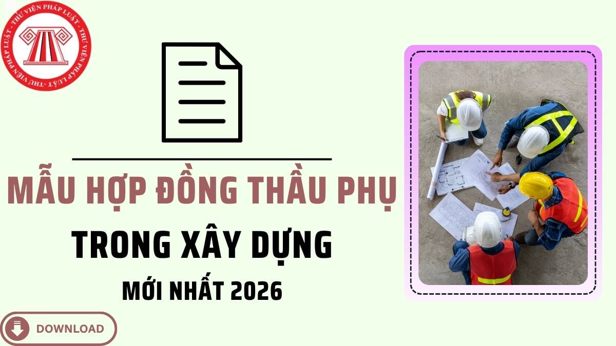 Pháp luật