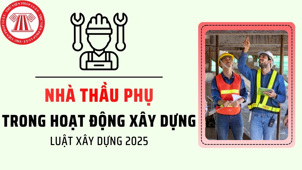 Pháp luật