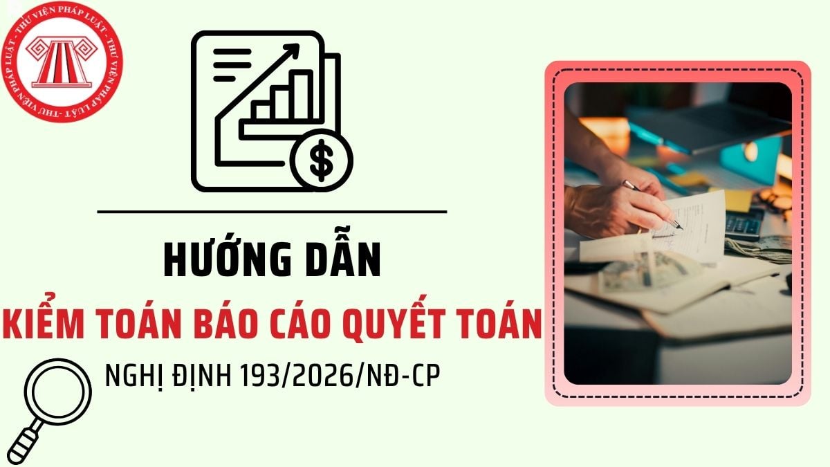 Pháp luật