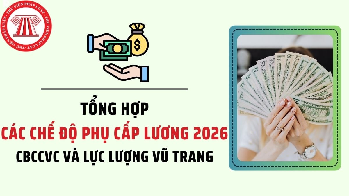 Pháp luật