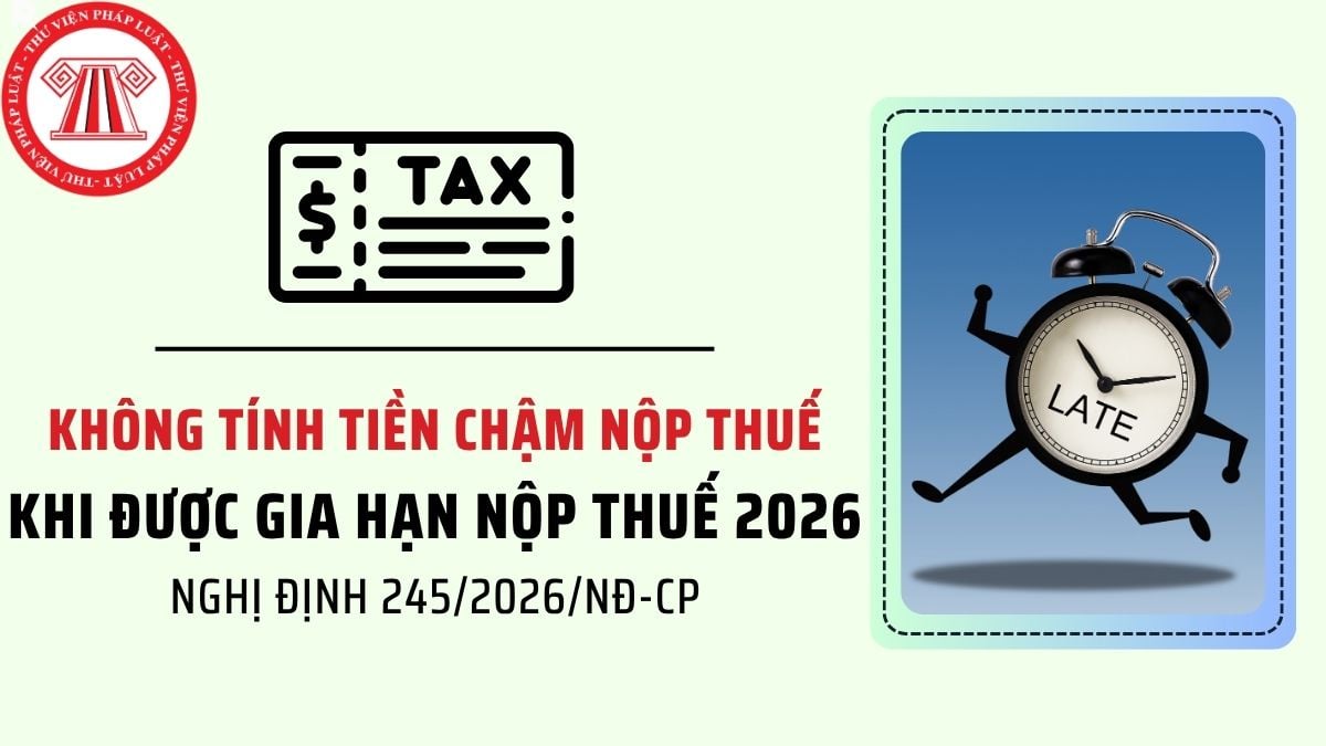 Pháp luật