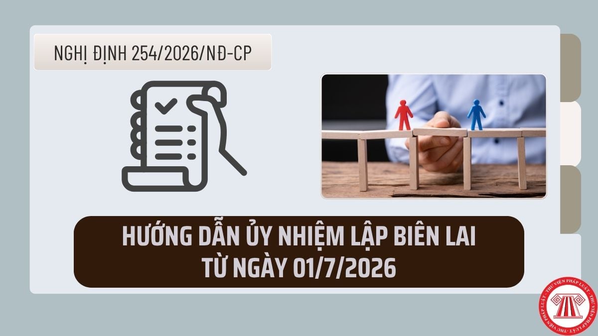 Pháp luật