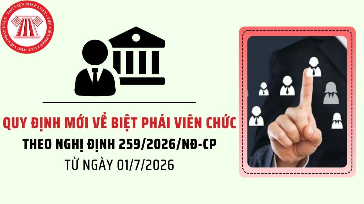 Pháp luật