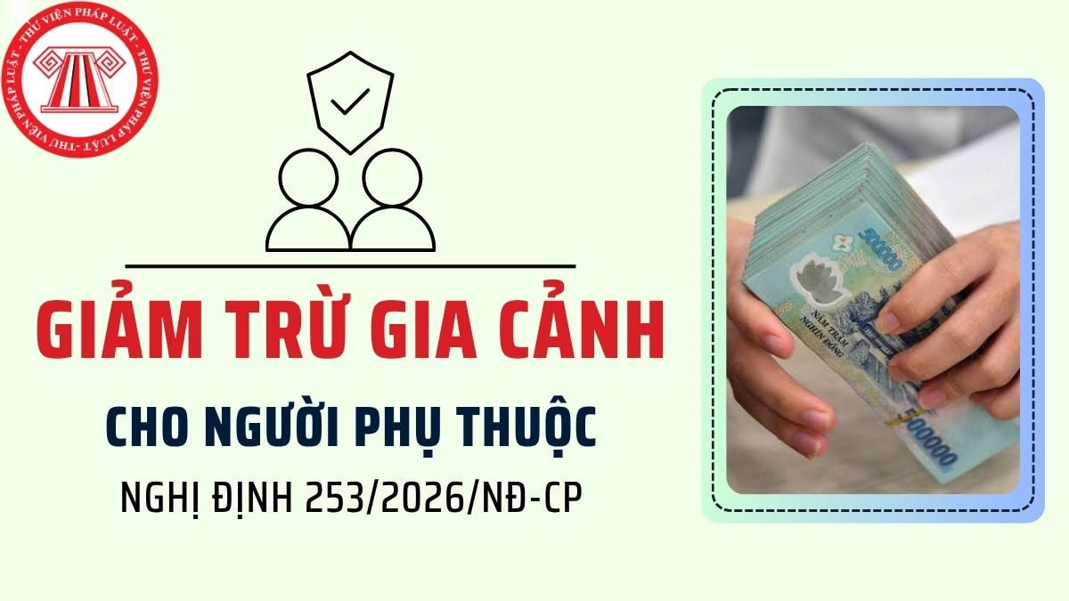 Pháp luật