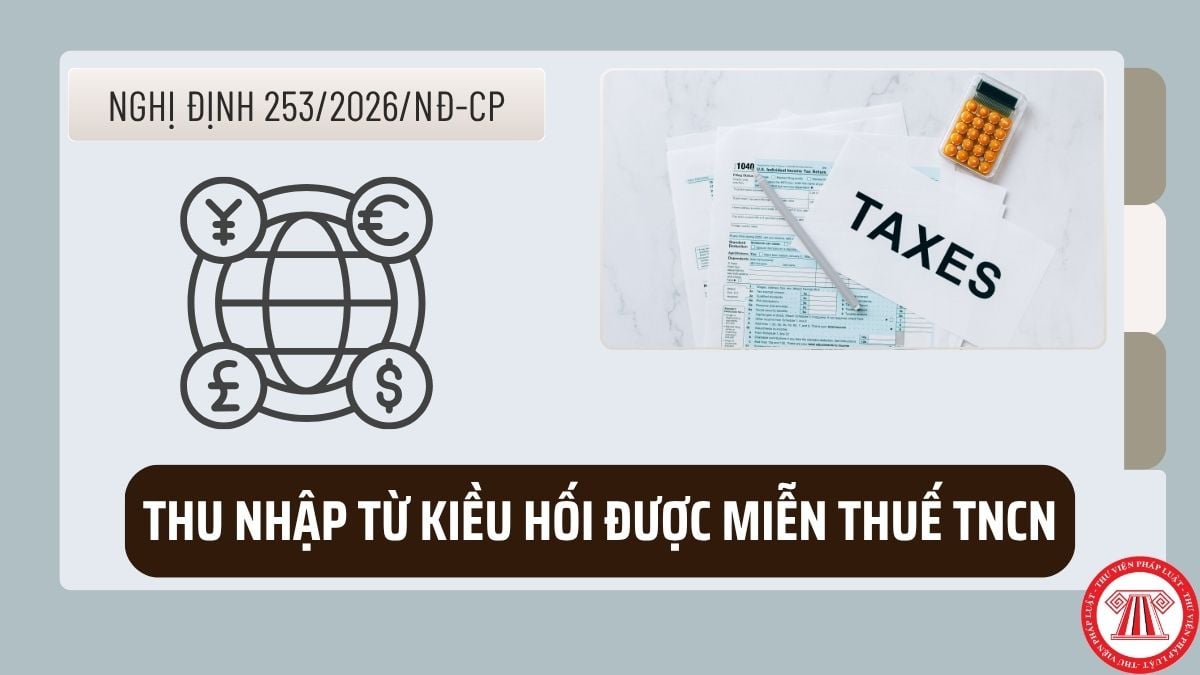 Pháp luật