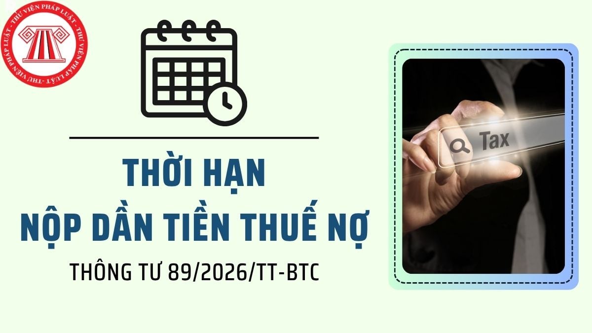 Pháp luật