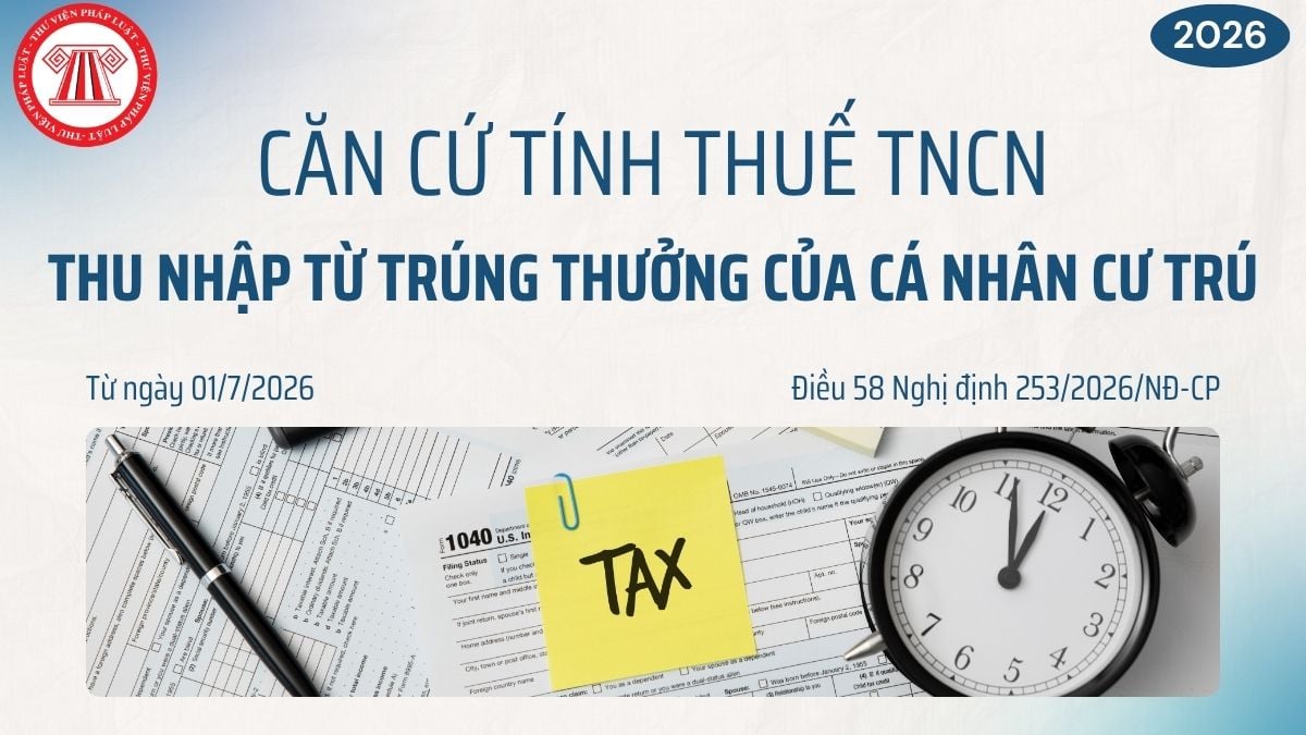 Pháp luật