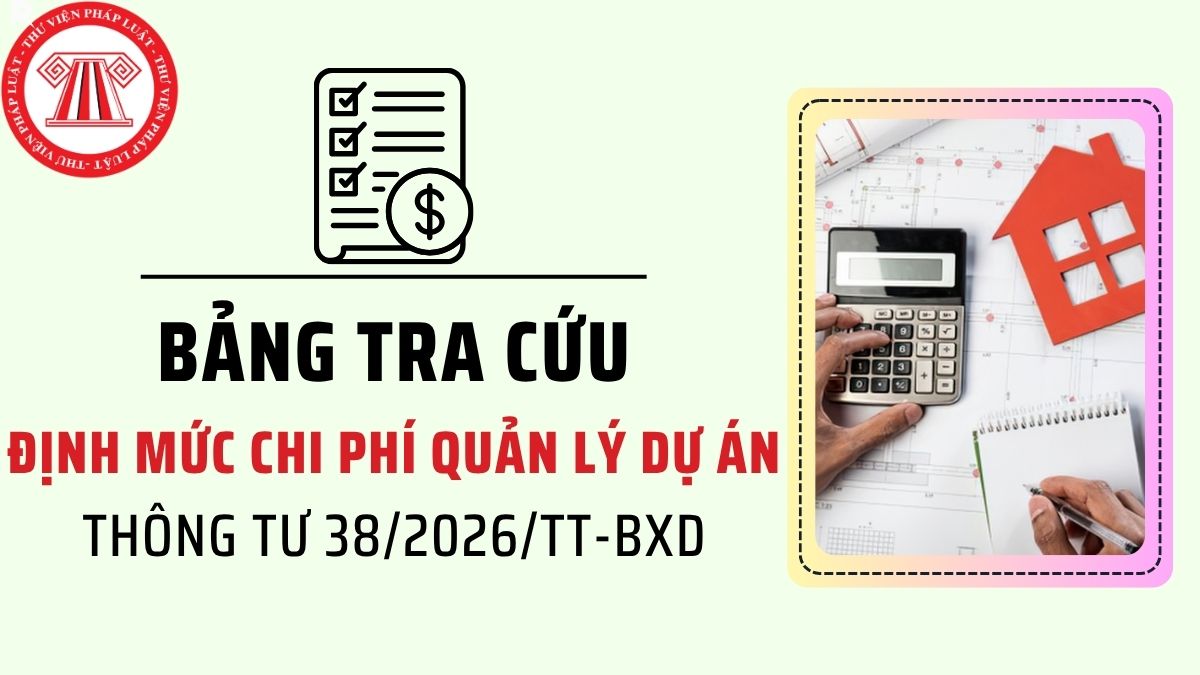 Pháp luật