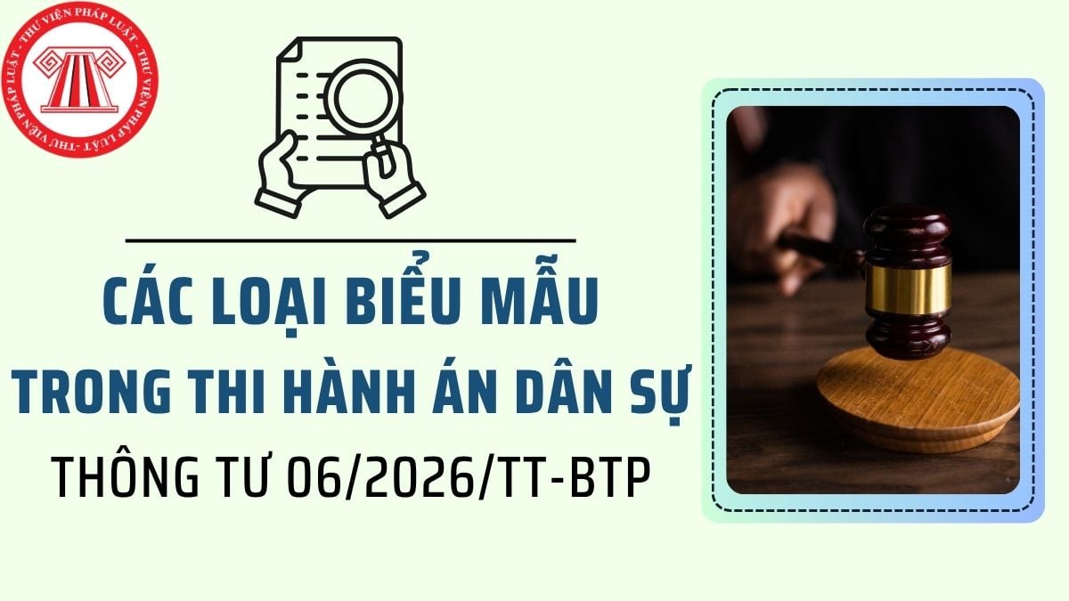 Pháp luật