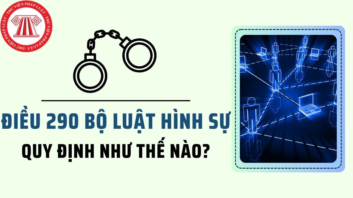 Pháp luật