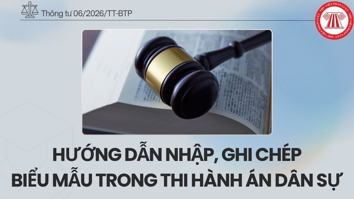 Pháp luật