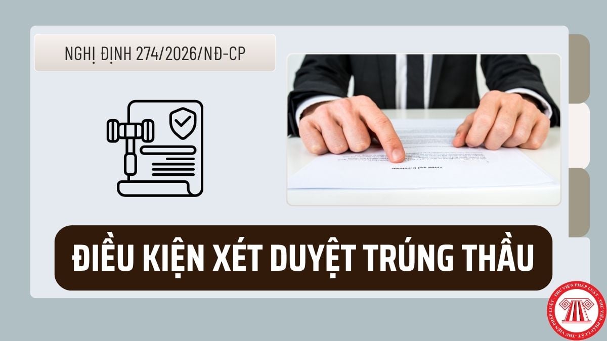 Pháp luật