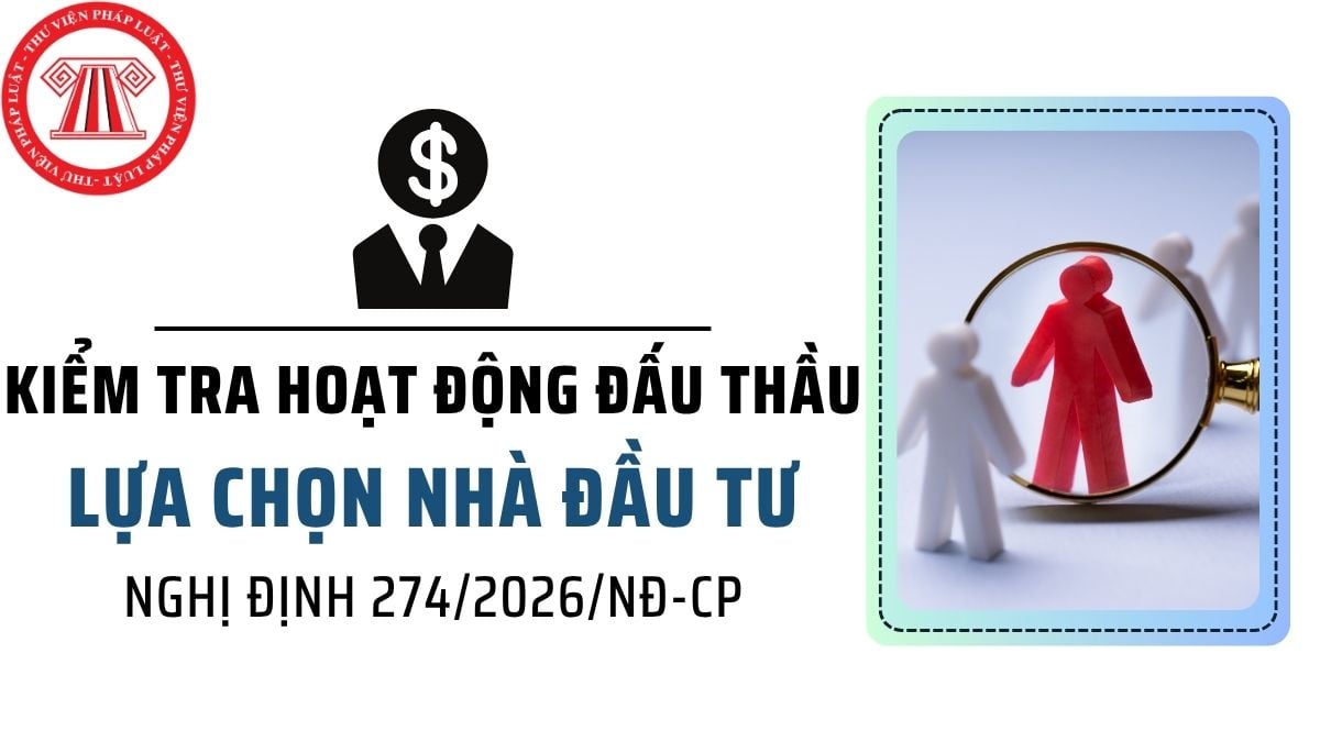 Pháp luật