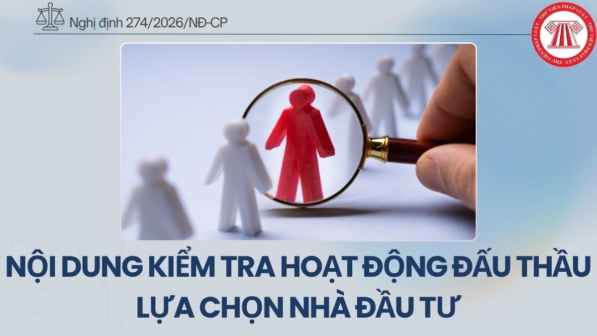 Pháp luật