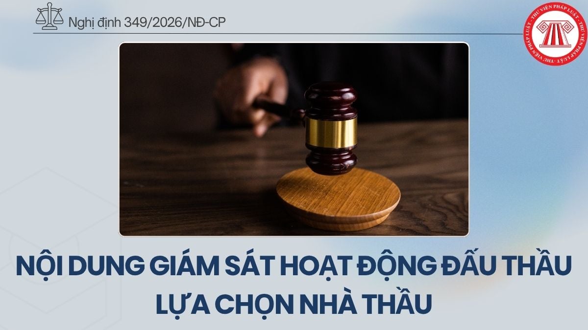 Pháp luật