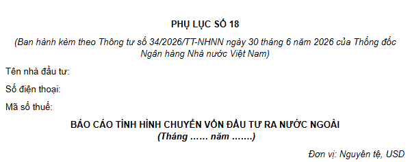 Mẫu Báo cáo tình hình chuyển vốn đầu tư ra nước ngoài