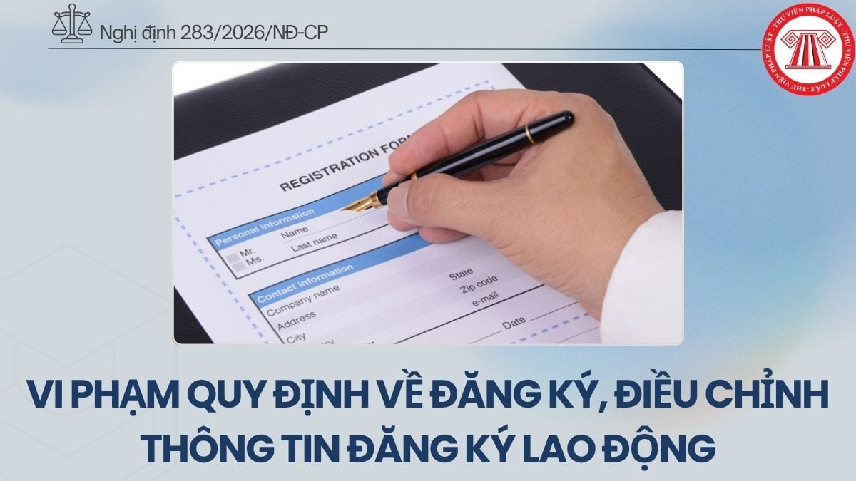 Pháp luật