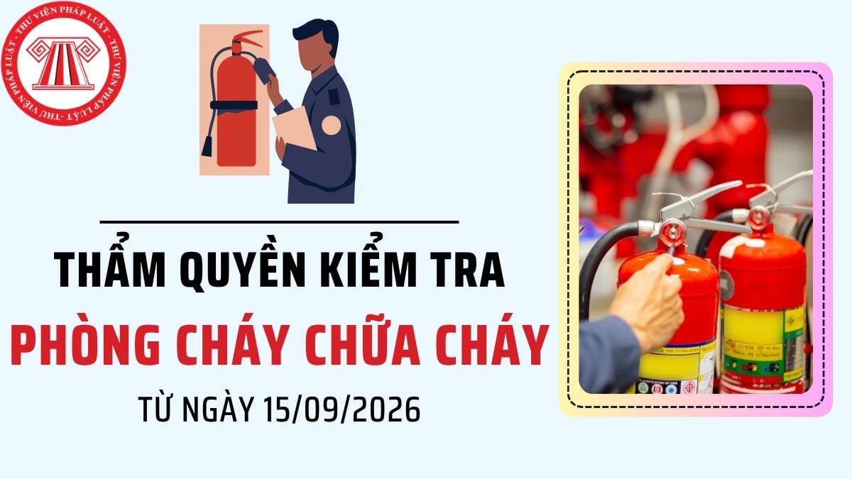 Pháp luật