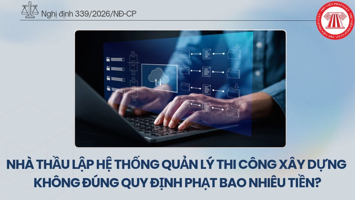 Pháp luật