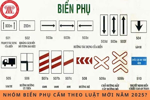 Pháp luật
