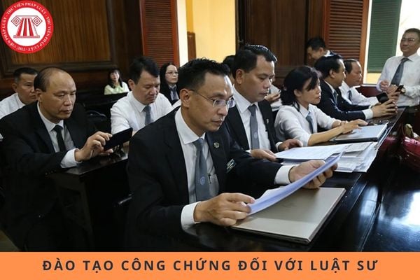 Pháp luật