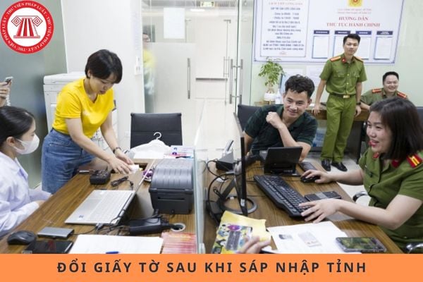 Pháp luật