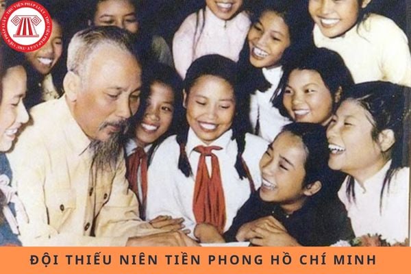 Pháp luật