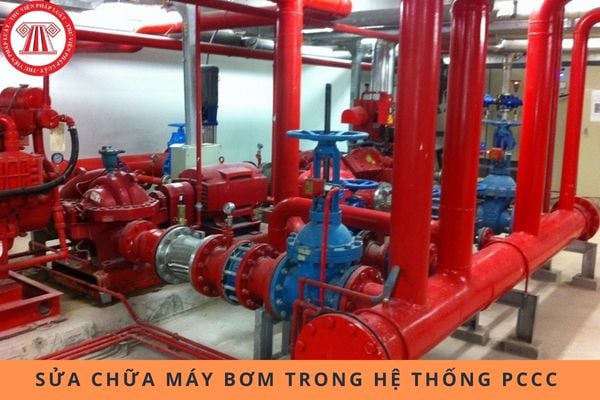 Pháp luật