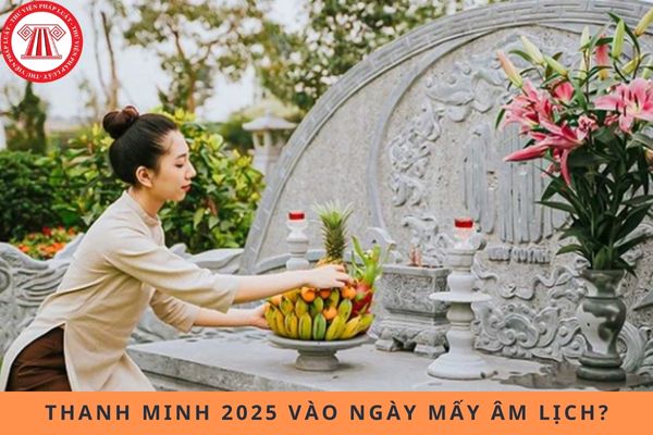 Pháp luật