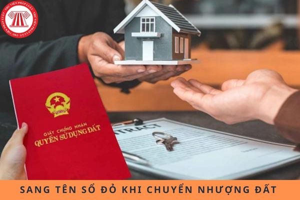 Pháp luật