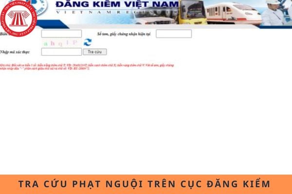Pháp luật