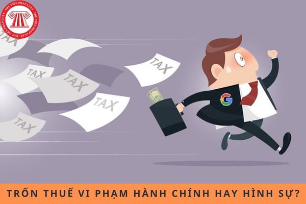 Pháp luật