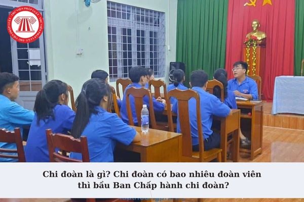 Chi đoàn là gì? Chi đoàn có bao nhiêu thành viên thì bầu Ban Chấp hành chi đoàn theo quy định?