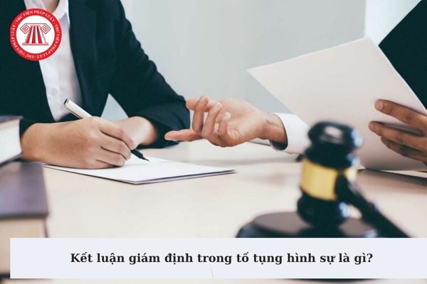 Kết luận giám định trong tố tụng hình sự là gì? Kết luận giám định có được xem là một nguồn chứng cứ trong tố tụng hình sự?