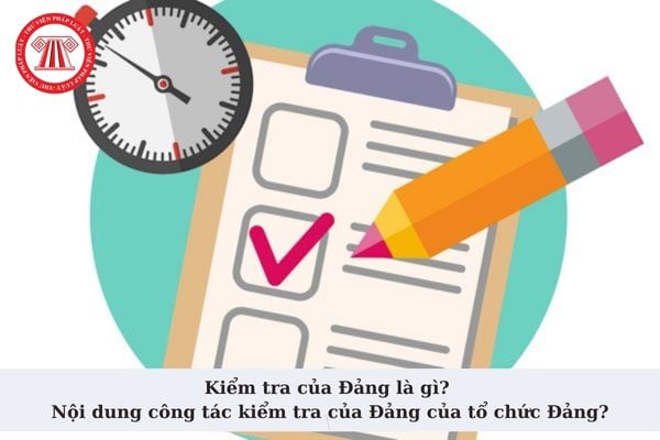 Kiểm tra của Đảng là gì? Nội dung công tác kiểm tra của Đảng của tổ chức Đảng bao gồm những gì?